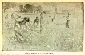 Slaves working in a cotton field. From Tupelo by John H. Aughey.